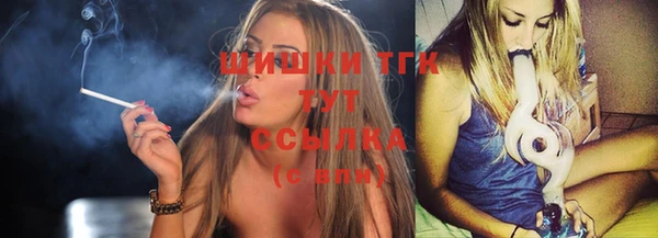 хмурый Горняк
