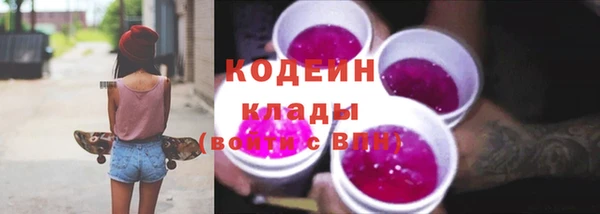хмурый Горняк