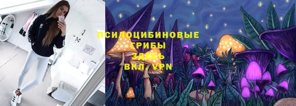 гидропоника Горно-Алтайск