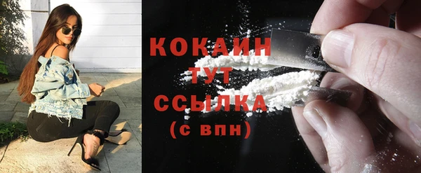 винт Дубна