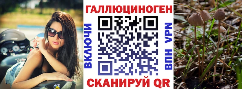 Псилоцибиновые грибы GOLDEN TEACHER  Заволжск 